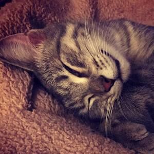 Meet your Posher, Kerry